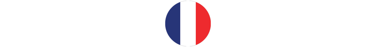 Flagge Frankreichs Flagge Frankreichs